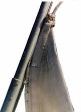 top sail top sail